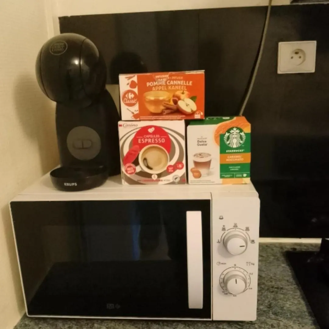Le Petit Cocon Apartment Grenoble