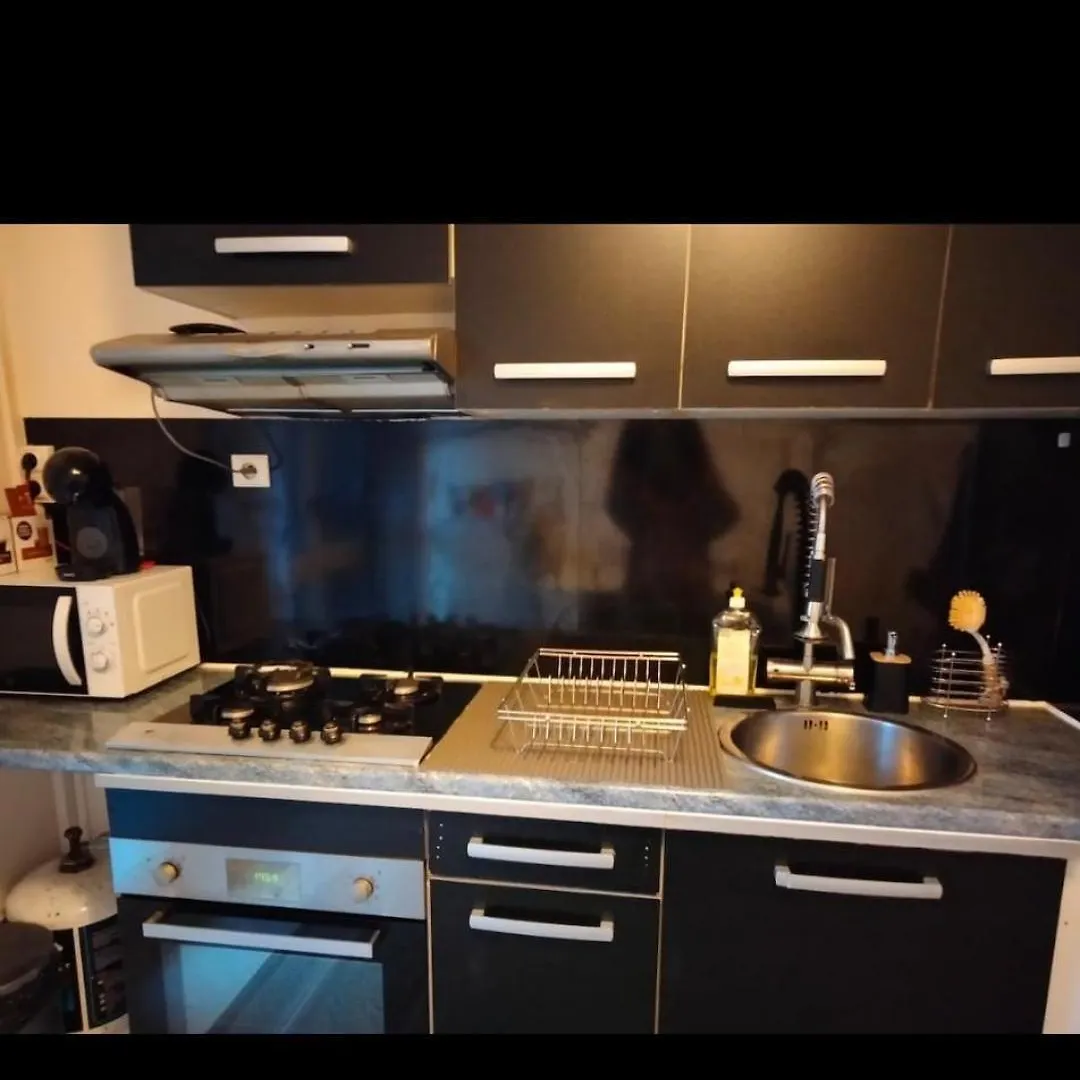 Le Petit Cocon Apartment Grenoble France