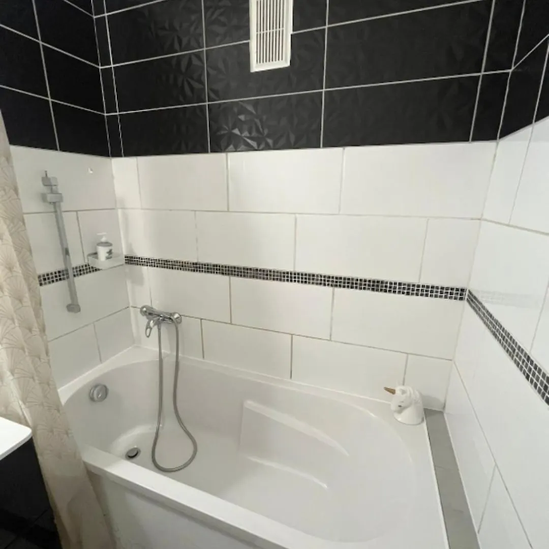 Le Petit Cocon Apartment Grenoble