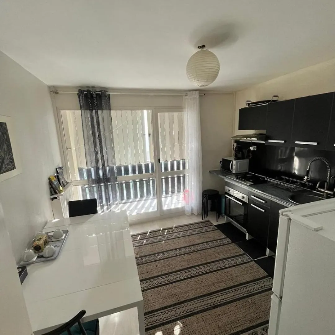 Le Petit Cocon Apartment Grenoble France