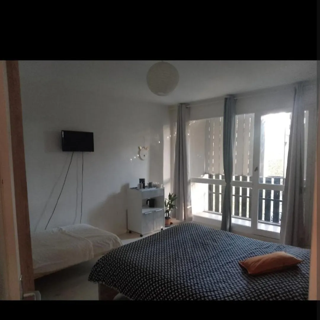 Le Petit Cocon Apartment Grenoble